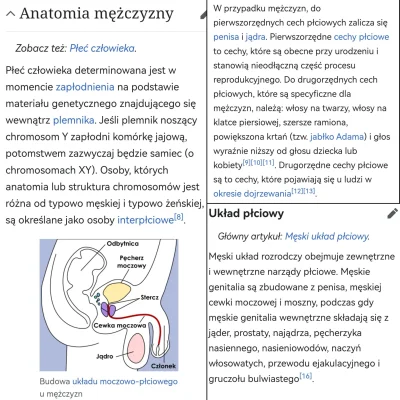 MGTOWPL - - "prawdziwy mężczyzna by zapłacił za kolację"
- "prawdziwy mężczyzna wycho...