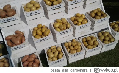 pastaallacarbonara - @pjk13: masz jeszcze pastewne i paszowe. Niestety w sklepach cza...