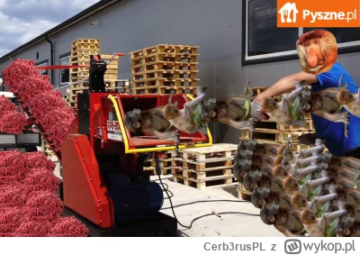 Cerb3rusPL - #konkursnanajbardziejgownianymemznosaczem 

Jo ci powim śwagier, że te b...