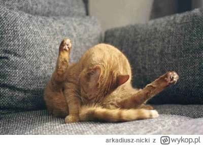 arkadiusz-nicki - @Sonny86: