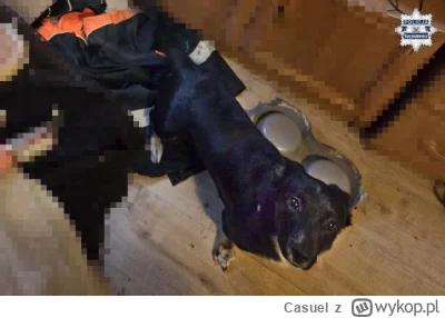 Casuel - Świętochłowiccy policjanci po raz kolejny udowodnili, że nie ma przyzwolenia...