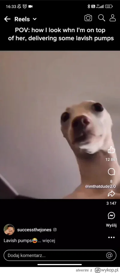 alverini - POV Fagata jak zgodziła się jednego dnia w roku, żeby twój chłopak pouzywa...