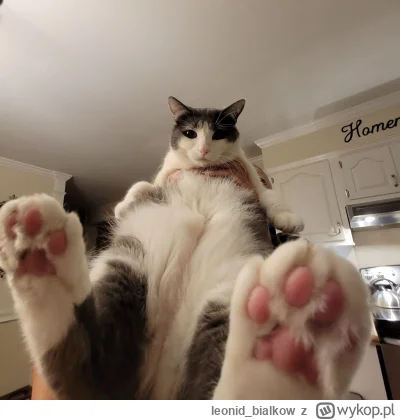 leonid_bialkow - @annlupin: dzisiej troche mniej śpiom