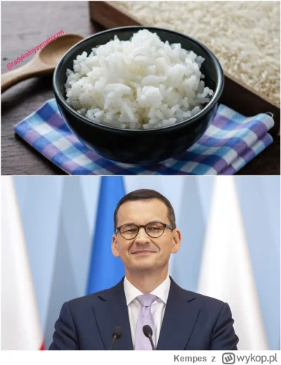Kempes - Kasa dla kolegów musi się zgadzać, a innym miska ryżu XD