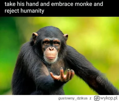 gustowny_dzikus - @mvp84: