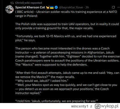 wincenty1 - pis w praktyce