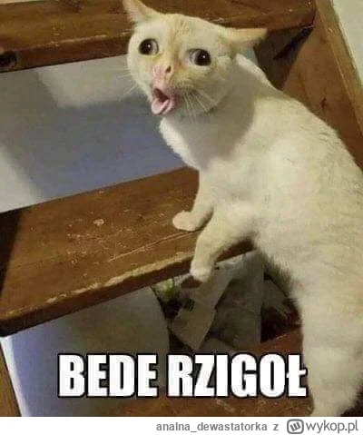 a.....a - @120DniSodomy