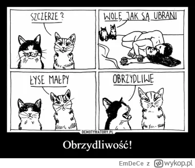 EmDeCe - #humorobrazkowy #koty
