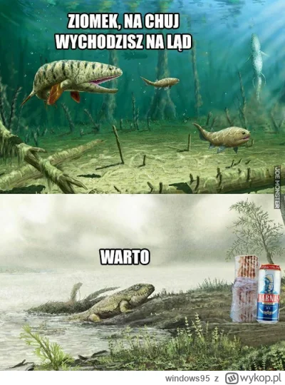 windows95 - #heheszki #humorobrazkowy