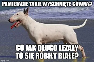 zjadam-przylepki - @krzywy_odcinek: