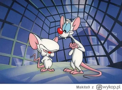 Makita9 - Wyciekło nowe zdjęcie Wąsika i Kamińskiego z więzienia ( ͡° ͜ʖ ͡°)

#polity...