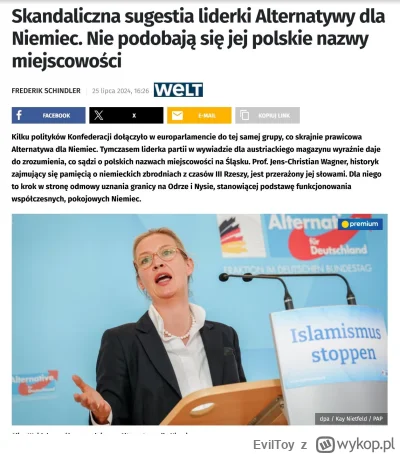 EvilToy - Antypolscy koalicjanci Konfederacji, AfD, oficjalnie chcą nam zmieniać nazw...