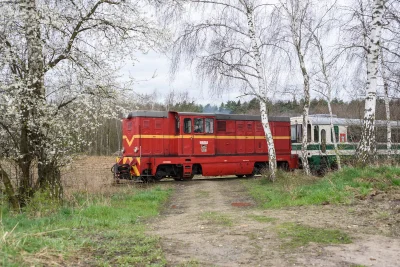 XKHYCCB2dX - Lxd2-266 złapana na trasie do Starego Bojanowa, Śmigielska Kolej Wąskoto...