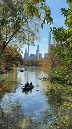 R2D2zSosnowca - Kilka jesiennych strzałów ale dla odmiany z miasta #r2d2zwiedza #natu...