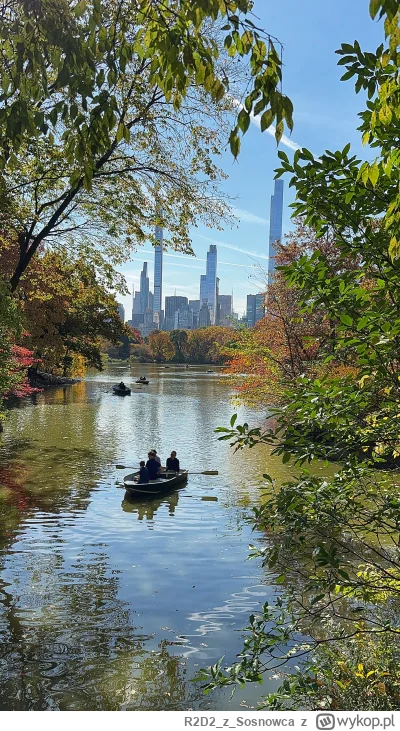 R2D2zSosnowca - Kilka jesiennych strzałów ale dla odmiany z miasta #r2d2zwiedza #natu...