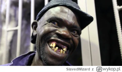 SlavedWizard - #afera #moderacjacontent #wykop #test #przypadkowymurzyn

Julian Tuwim...