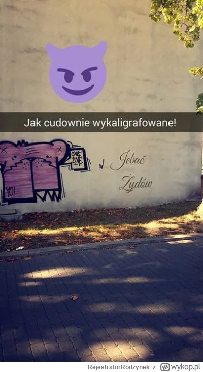 RejestratorRodzynek - jeżeli chodzi o te napisy na murach w Łodzi, to jest lepiej - m...