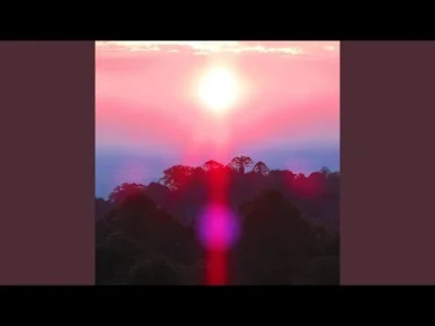 user48736353001 - 21' Grouper - Headache (2016, Paradise Valley)

Czy wiecie, że Liz ...