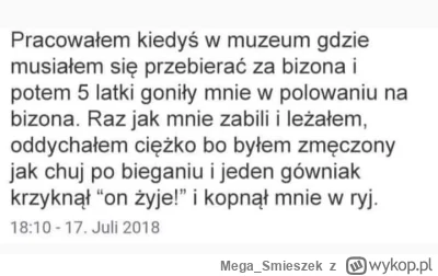 Mega_Smieszek