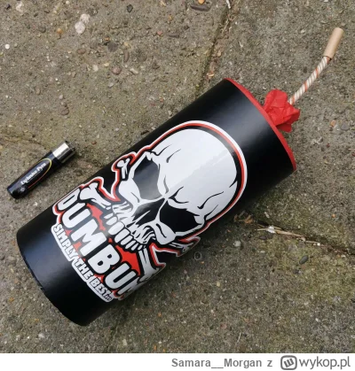 Samara__Morgan - Postrach psów na osiedlu
#sylwesterzwykopem