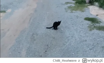 ChilliHeatwave - @120Dni_Sodomy co racja to racja