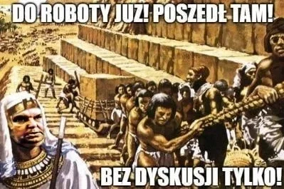 g0blacK - #kononowicz #heheszki #historycznememy #egipt