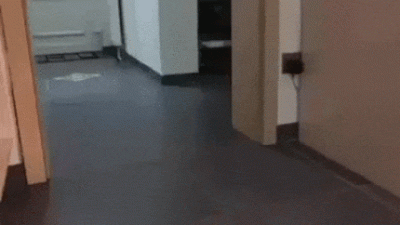 wfyokyga - #zonabijealewolnobiega