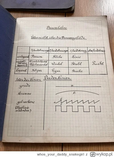 whosyourdaddy_snakegirl - Chyba mi dygnął (｡◕‿‿◕｡)

Ostatni raz tak ładnie rysowałem ...