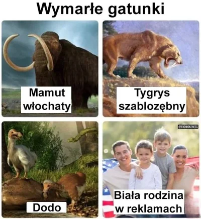 PonuryBatyskaf - #bekazlewactwa #clownworld #reklama #heheszki #humorobrazkowy