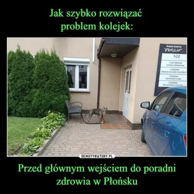 CrazyZdzich - #psiarze