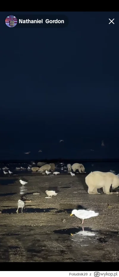 Poludnik20 - @Poludnik20: