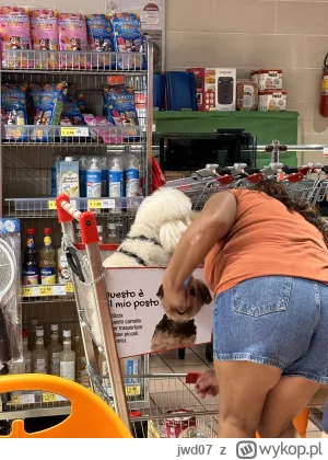 jwd07 - @jutrobedzieinaczej zdjęcie z tego roku