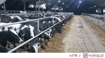 xdTM - @Returned: jeszcze jakby te krowy miały gdzie pierdziec a nie być trzymanym w ...