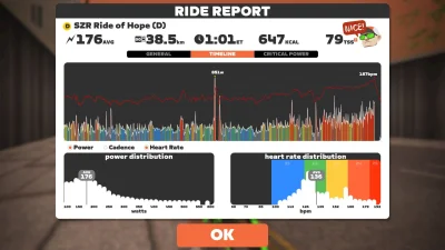 ytong - 251 407 + 39 = 251 446

Group Ride: SZR Ride of Hope (D) on Greater London Fl...