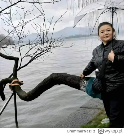 GrammarNazi - Fajna zgrabna

#heheszki #azjatki