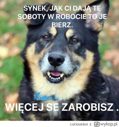 curiousboi - 27 lvl here, nigdy nie bylem u lekarza i chcialbym zrobic jakis ultra ro...