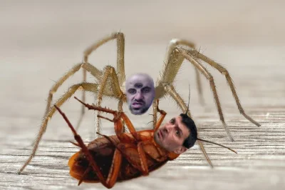 Silklash - Brakuje mi robaczków :(

#danielmagical #patostreamy