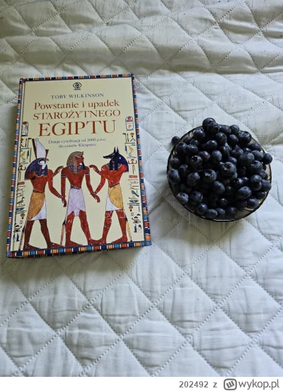 202492 - Będzie czytane przez weekend

#historia #przegryw