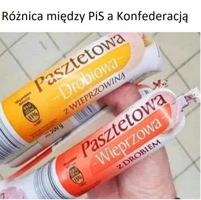 kasza332 - Który pasztet wybierasz?

#neuropa #konfederacja #bekazprawakow #polityka