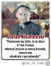 FistOfTruth - Francja? Przecież sami tego chcieli. 
Niech płonie.