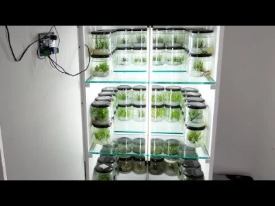 8kiwi - Po projektach widać że pasjonat. Ciekawe czy jest to pomysł na życie tj. yout...