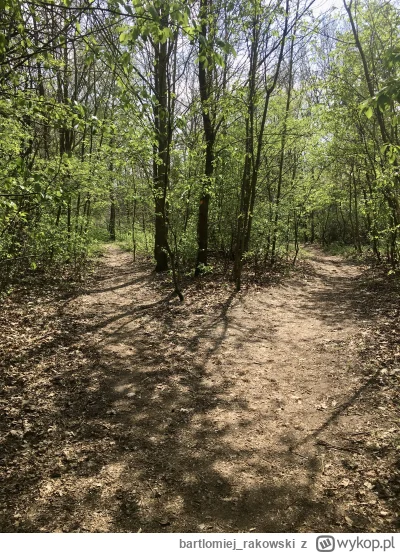 bartlomiejrakowski - @JanMaj Gdyby nie Pan kurier to bym nie wyszedł za dnia z piwnic...