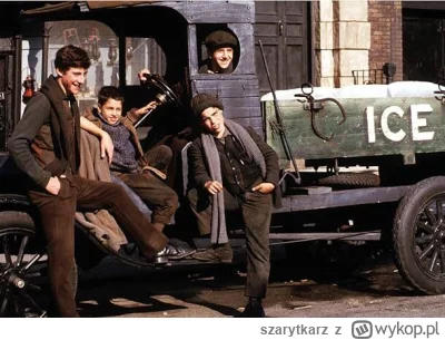 szarytkarz - @Corvus_Frugilagus