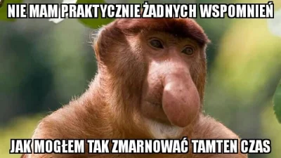 wojciech_adasdas - #konkursnanajbardziejgownianymemznosaczem #polskiedomy #nosaczfeel...