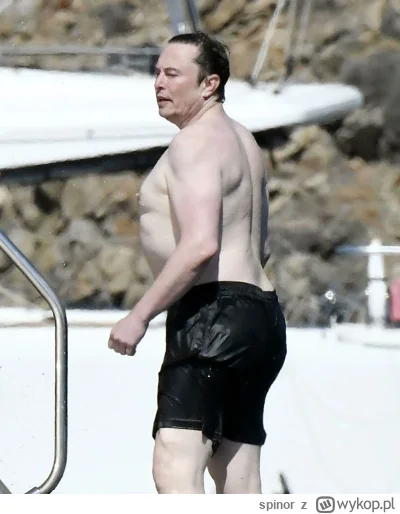 spinor - #niemcy było nie pajacować na X i nie hajlować to mieliby lepszy wynik