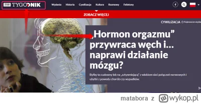 matabora - źródłem wieści tego znaleziska jest serwis "Tygodnik TVP"   , któremu co d...