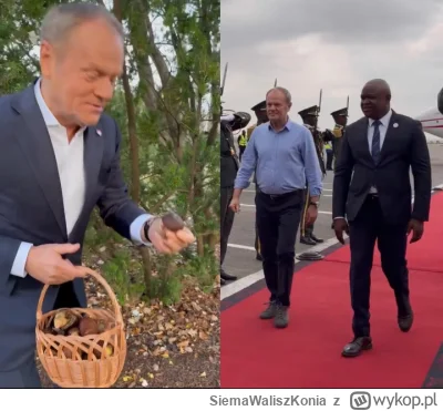 SiemaWaliszKonia - Od rana prawaki spamują krytykując ubiór Pana Premiera Donalda Tus...