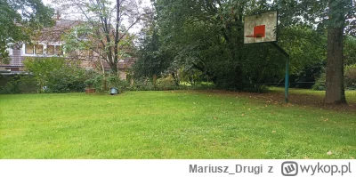 Mariusz_Drugi - Gramy w kosza?