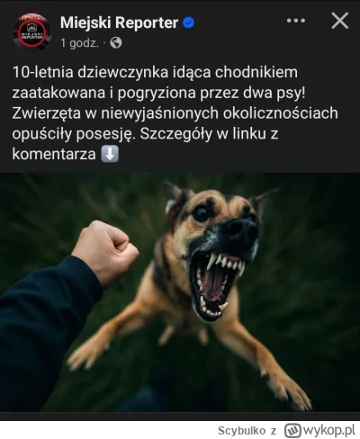 Scybulko - Kolejny dzień terroru ze strony zapchlonych bestii. Tfuuu na #psiarze