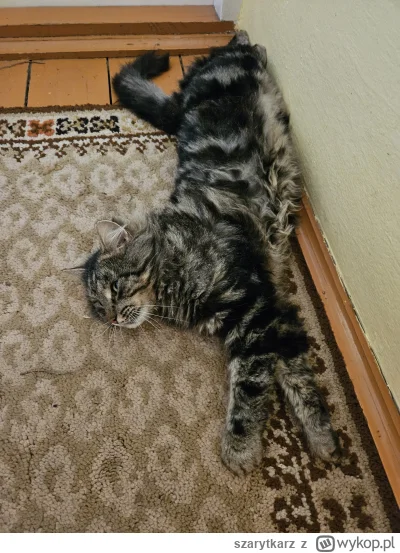 szarytkarz - @SunnO tu sie pochwalę moim wielkim i potężnym, ale na samym początku te...